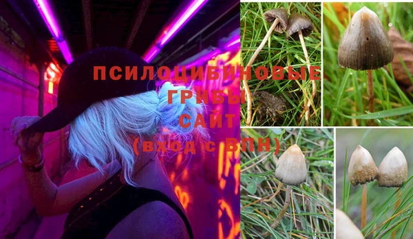 бутират Арсеньев