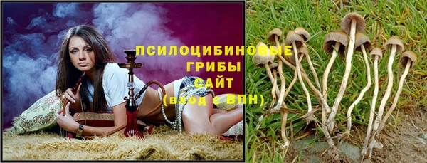 твердый Протвино