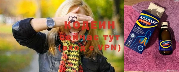 твердый Протвино